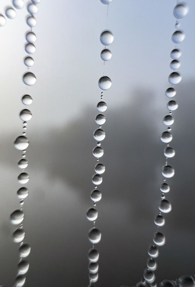 Photograph by Дмитрий Костяков