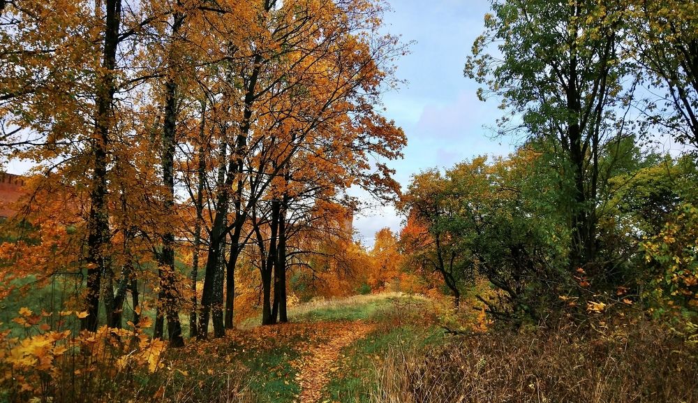 Photograph by Iuliia Akhulkova