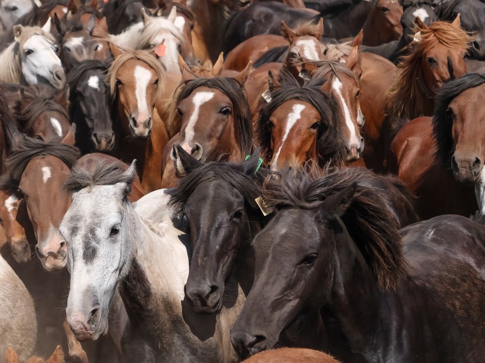 Photograph by Jose Antonio Novelle Cao