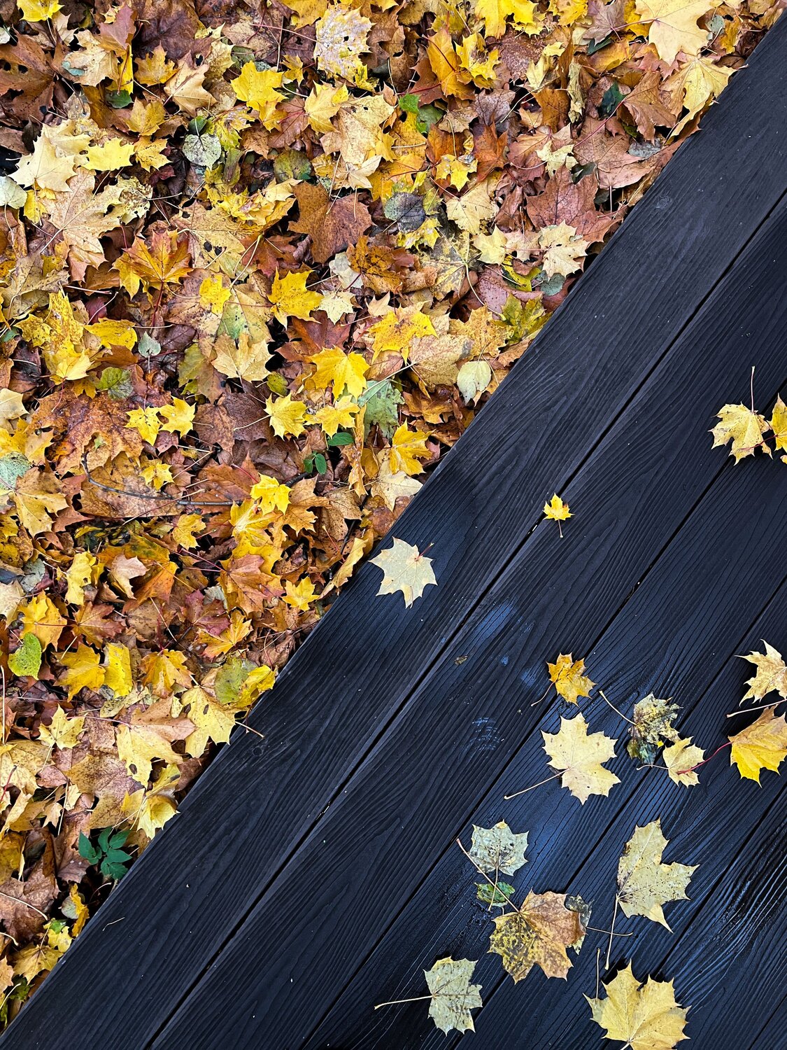 Фотография #9703628