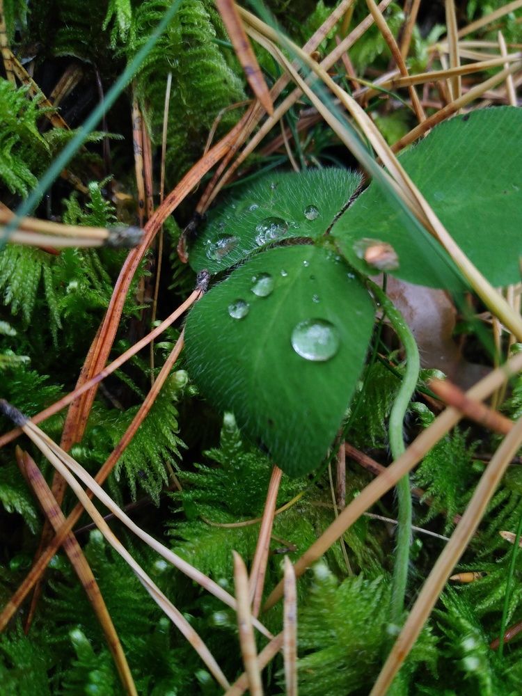 Photograph by Татьяна Николаевна