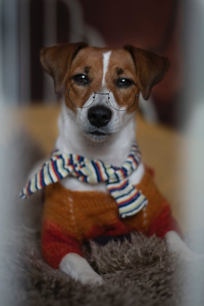 Photograph by Евгения Баширова