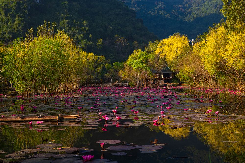 Photograph by Nguyễn Anh Tuấn