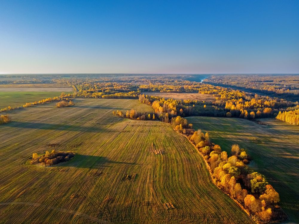 Рассвет над полем