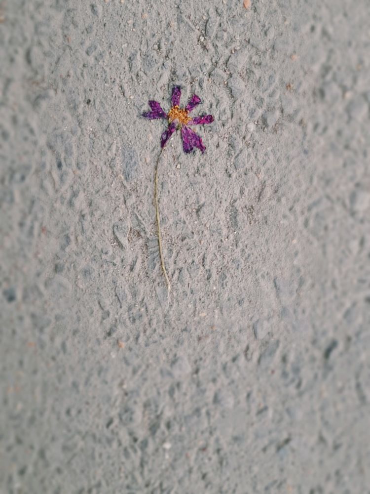 Фотография автора Анна Морозова