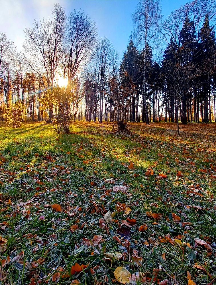 Photograph by Марина Козлова