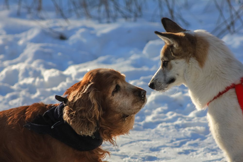 Photograph by Aleksandra