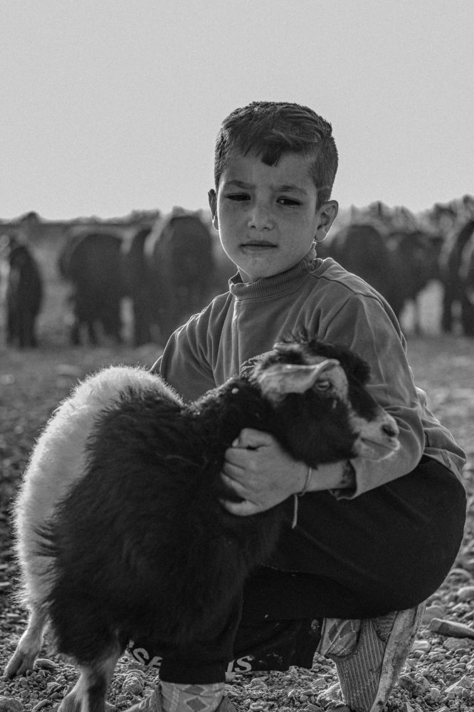 Photograph by Esmaeil ghorbani