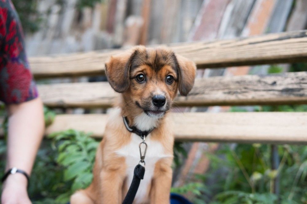 Photograph by Янина Найденцева