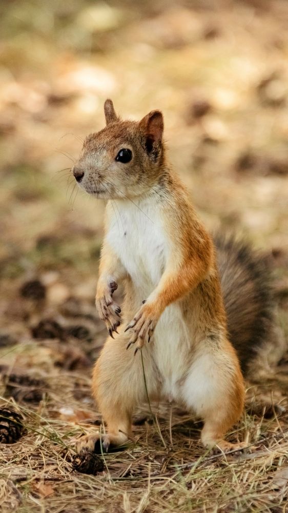 Photograph by Aleksandra