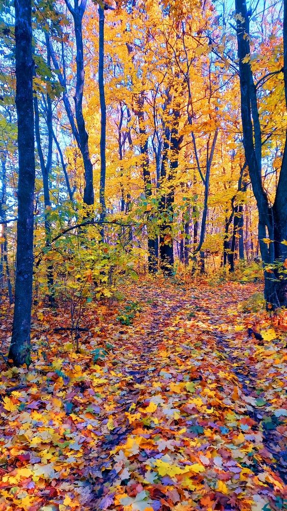 Photograph by Марина Козлова