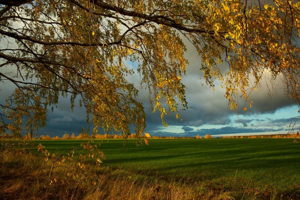 Photograph by Владимир Федин