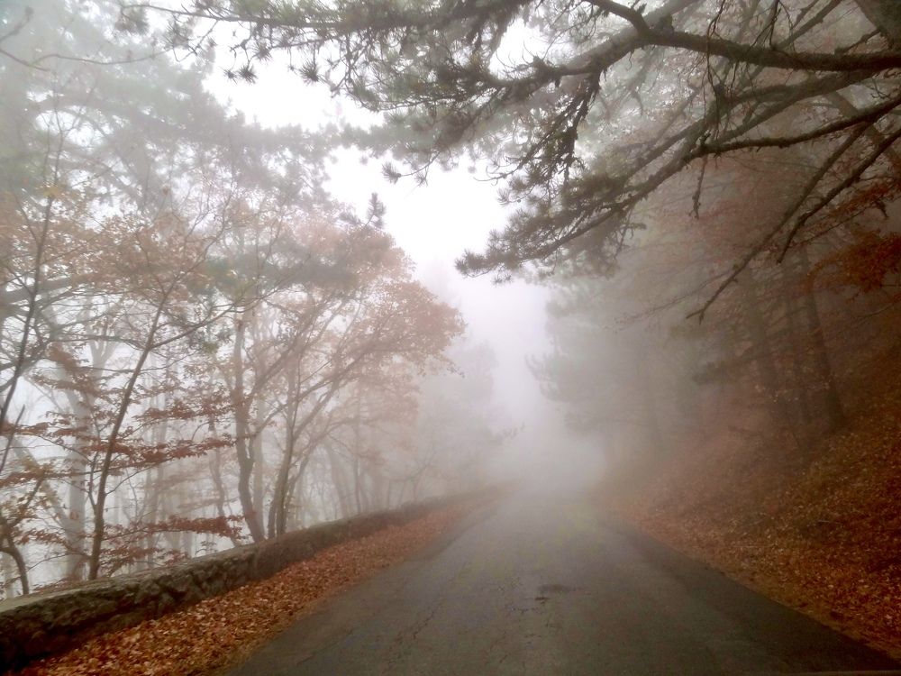 Photo #9703762