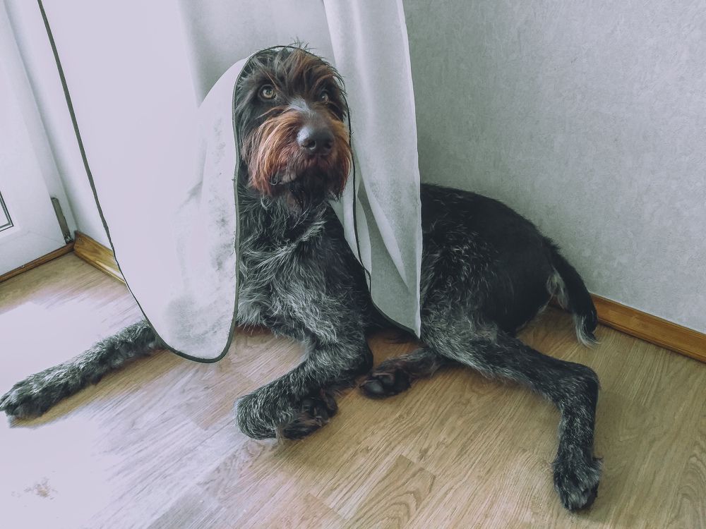 Photograph by Ольга Глущенко