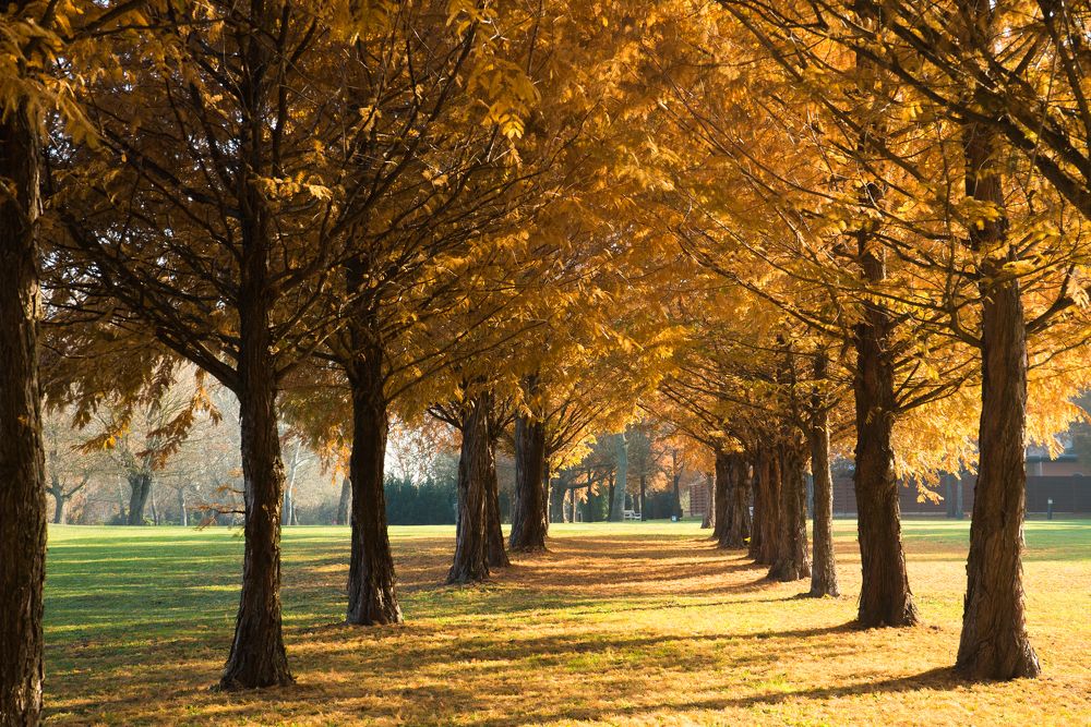 Photograph by Татьяна Пронина