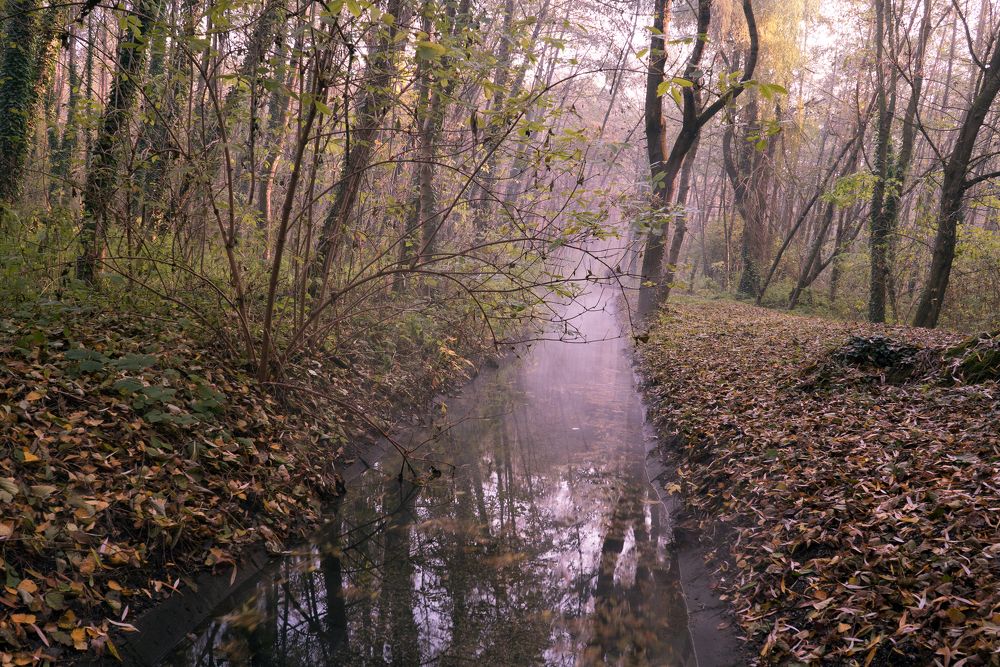 Photograph by Татьяна Пронина