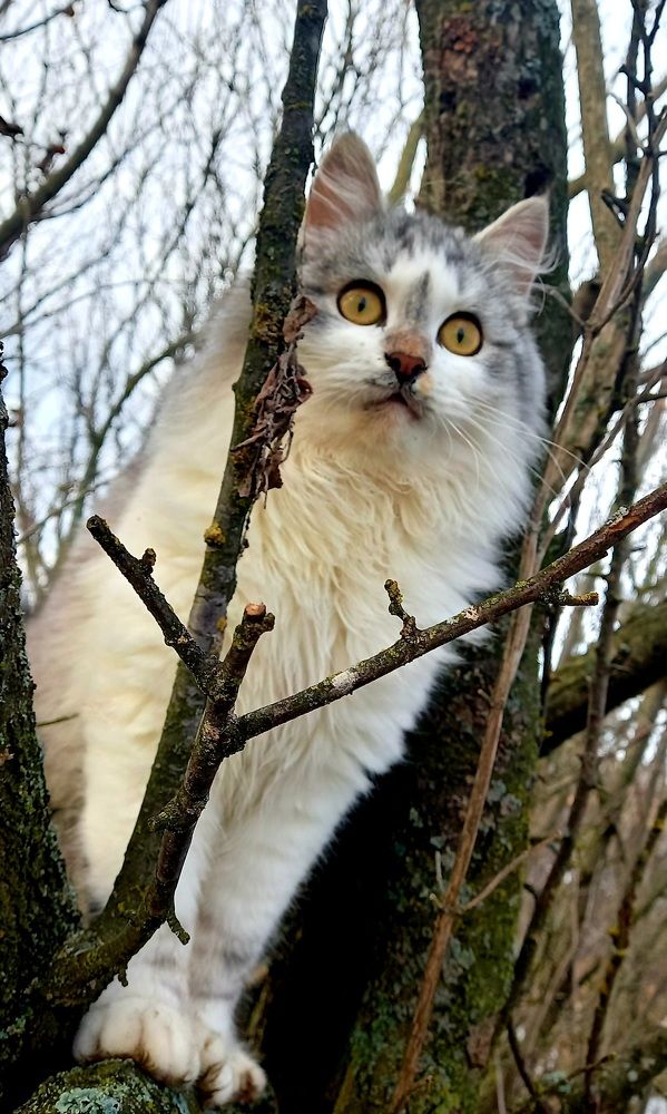 Photograph by Марина Козлова