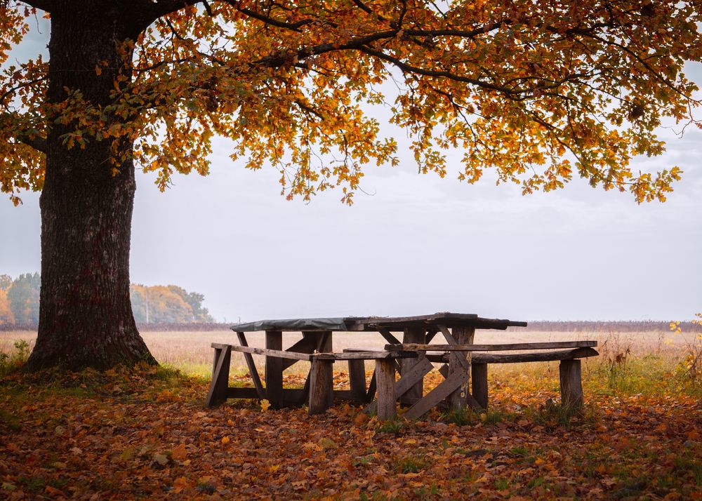 Photograph by Иван Мосьянов