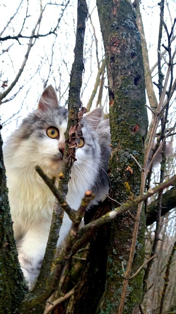 Photograph by Марина Козлова