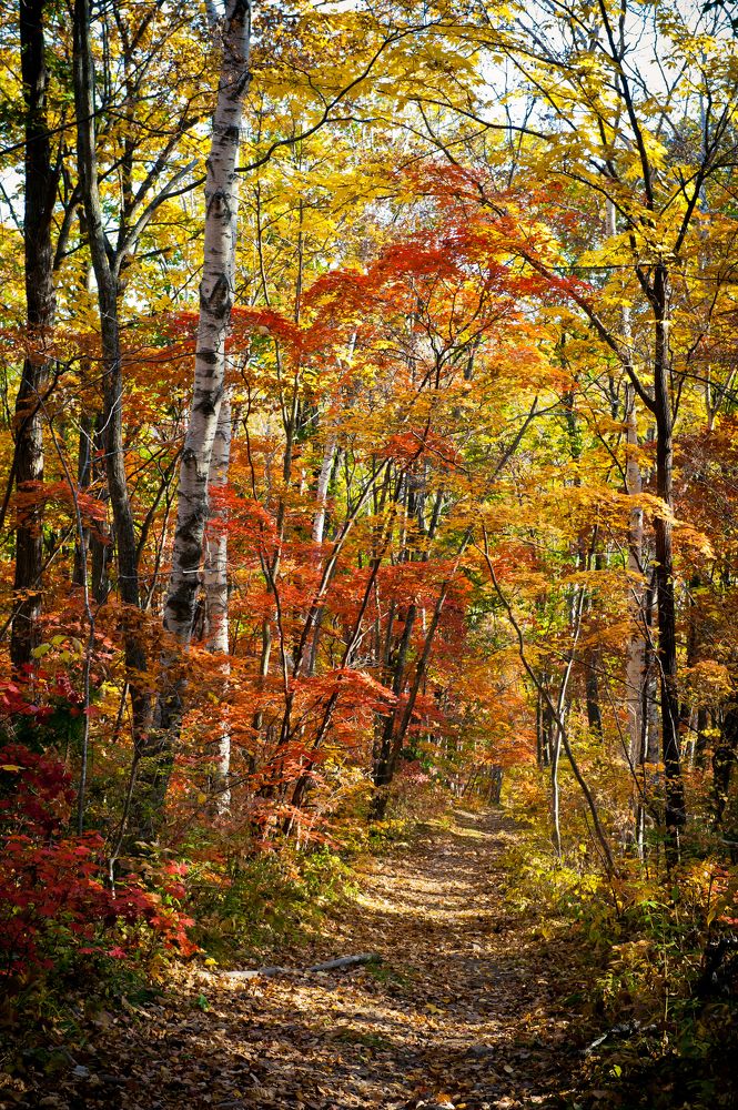 Photograph by Мария Мифтахова