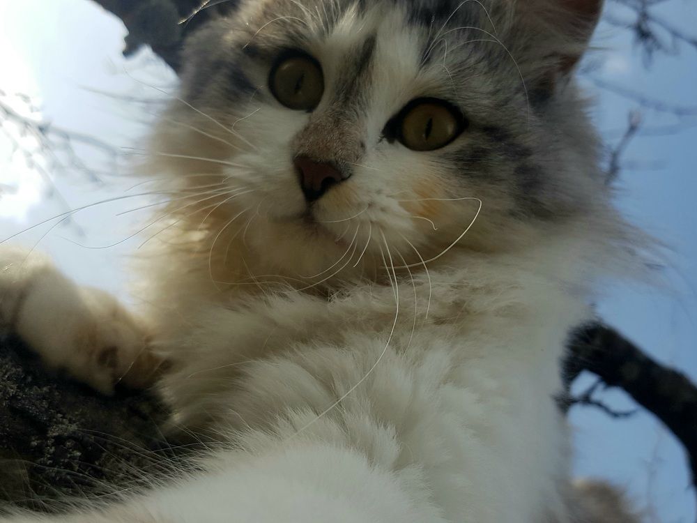 Photograph by Марина Козлова