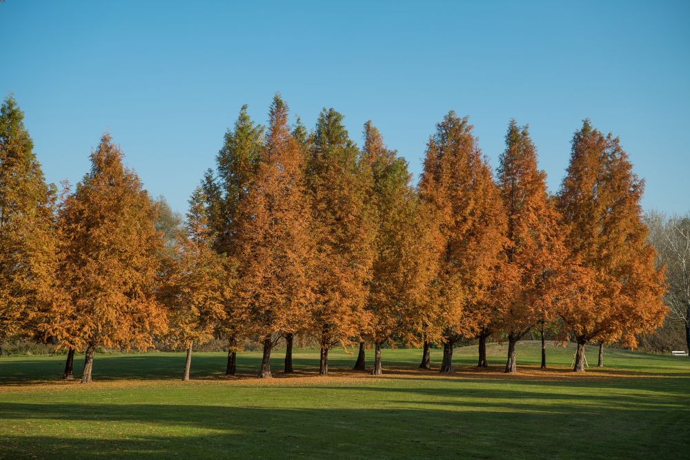 Photograph by Татьяна Пронина