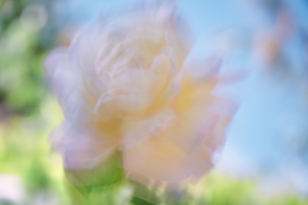 Photograph by Андрей Прищепин