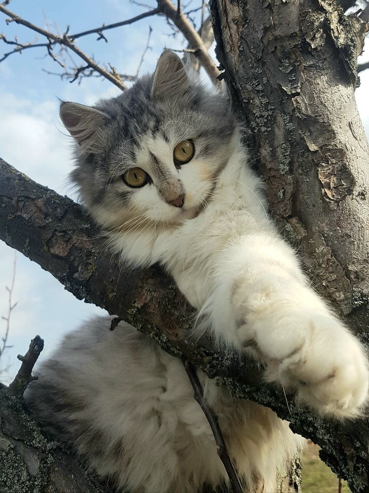 Photograph by Марина Козлова