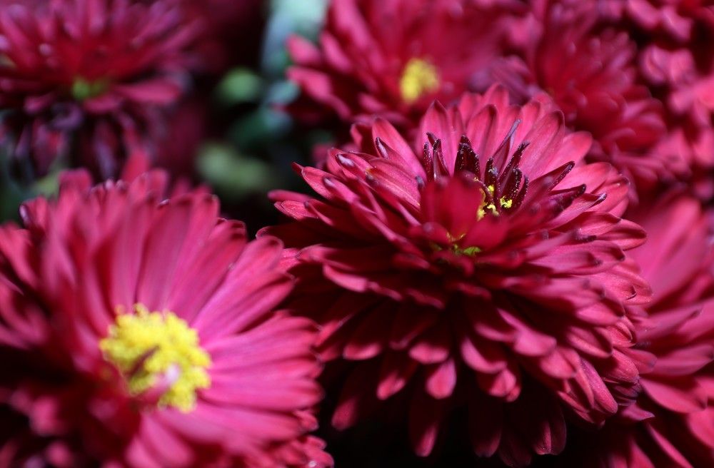 Photograph by Влад Барышов