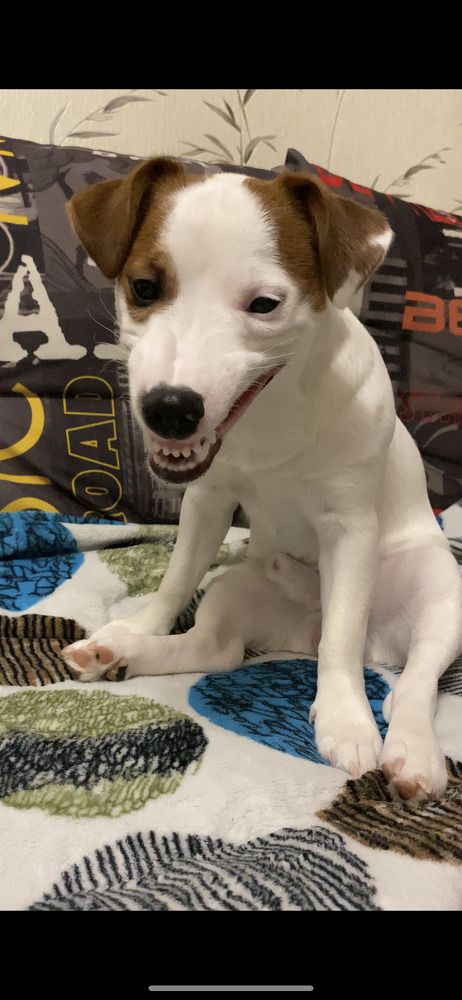 Photograph by Kristina Domanina