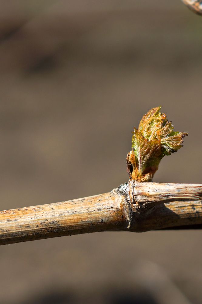 Photograph by Ольга Дой