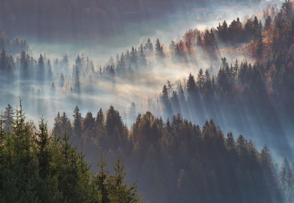 Photograph by Adrian Adi Gli