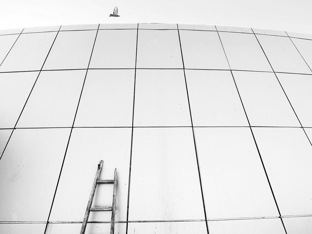 Photograph by amin Sharafiani