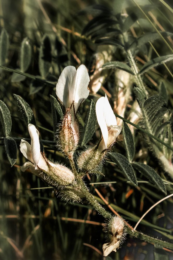 Photograph by Ольга Дой