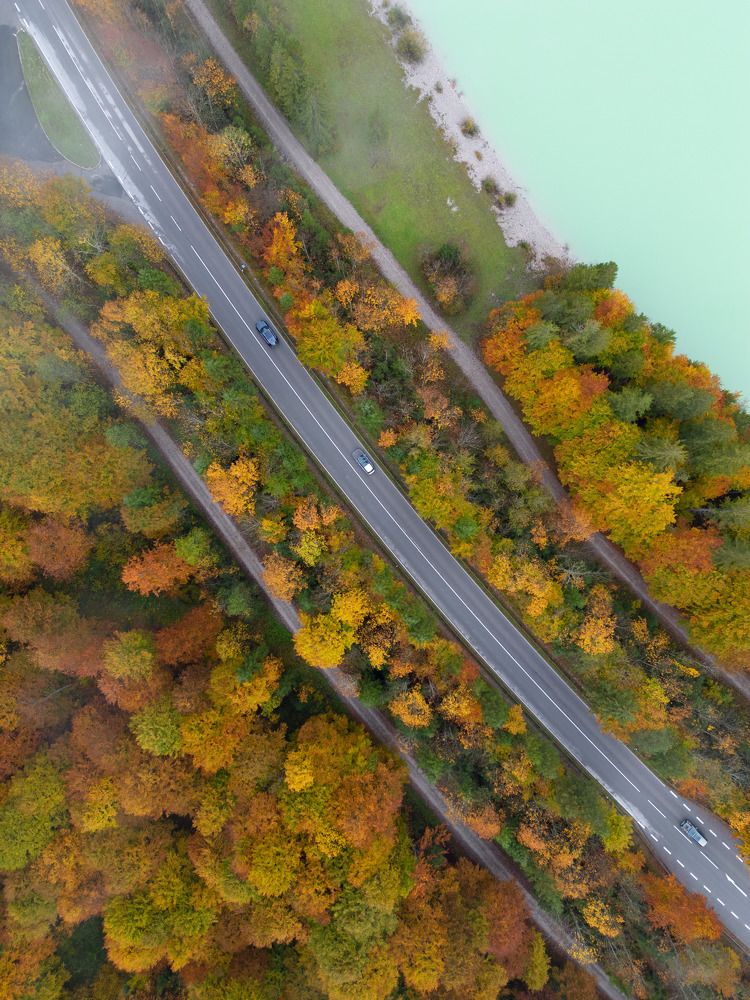 Aerial View of Autumn