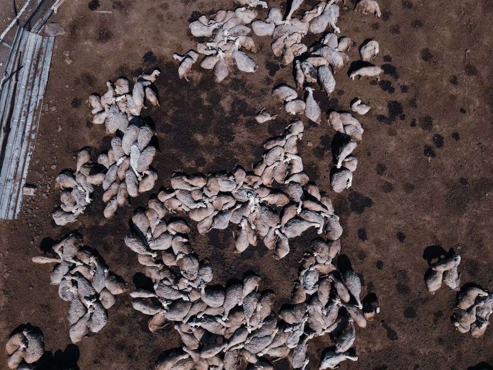 Фотография автора kimia shad