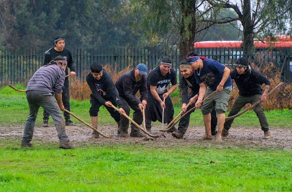 Hombres Mapuche jugando Palin, juego tradicional del Pueblo Originario Mapuche