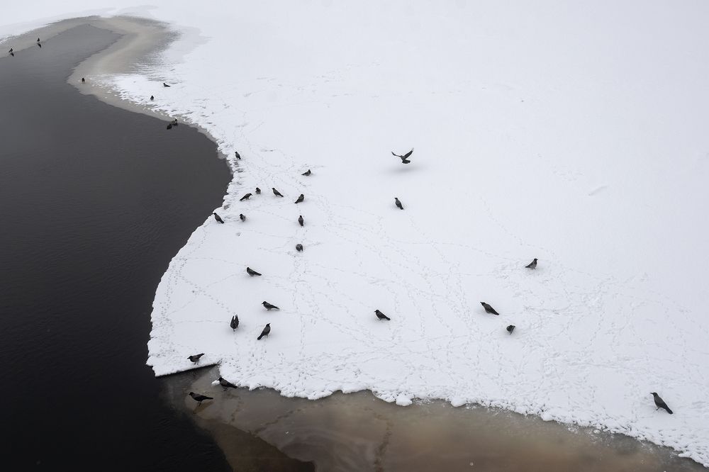 Photograph by Юлия Яровая