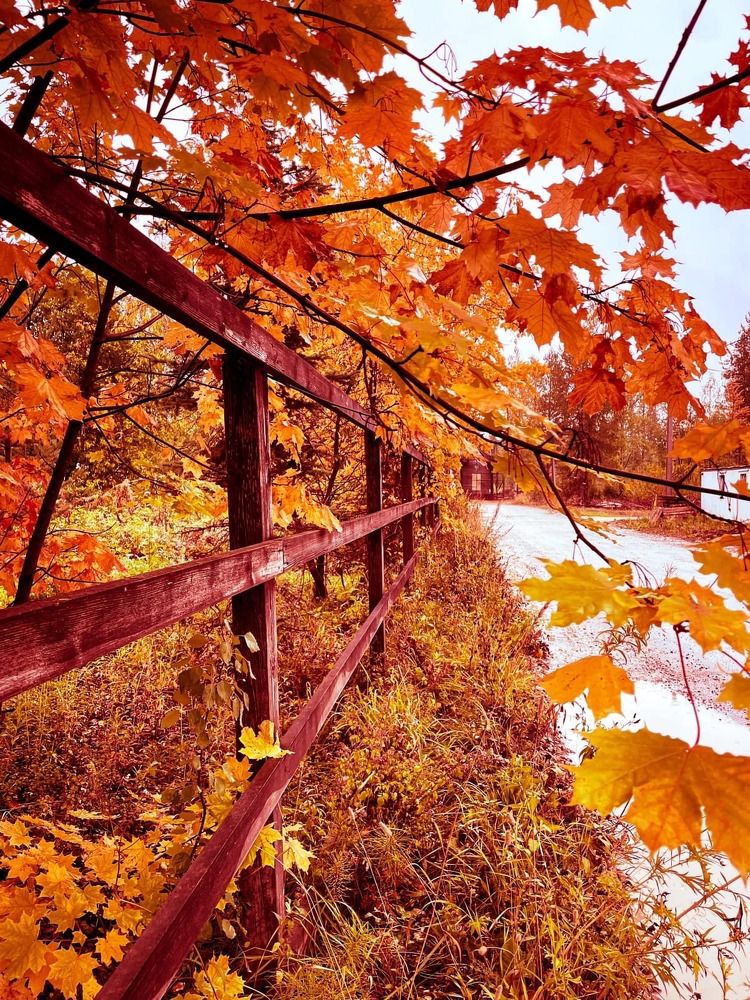 Photograph by Наталья Шаклеина