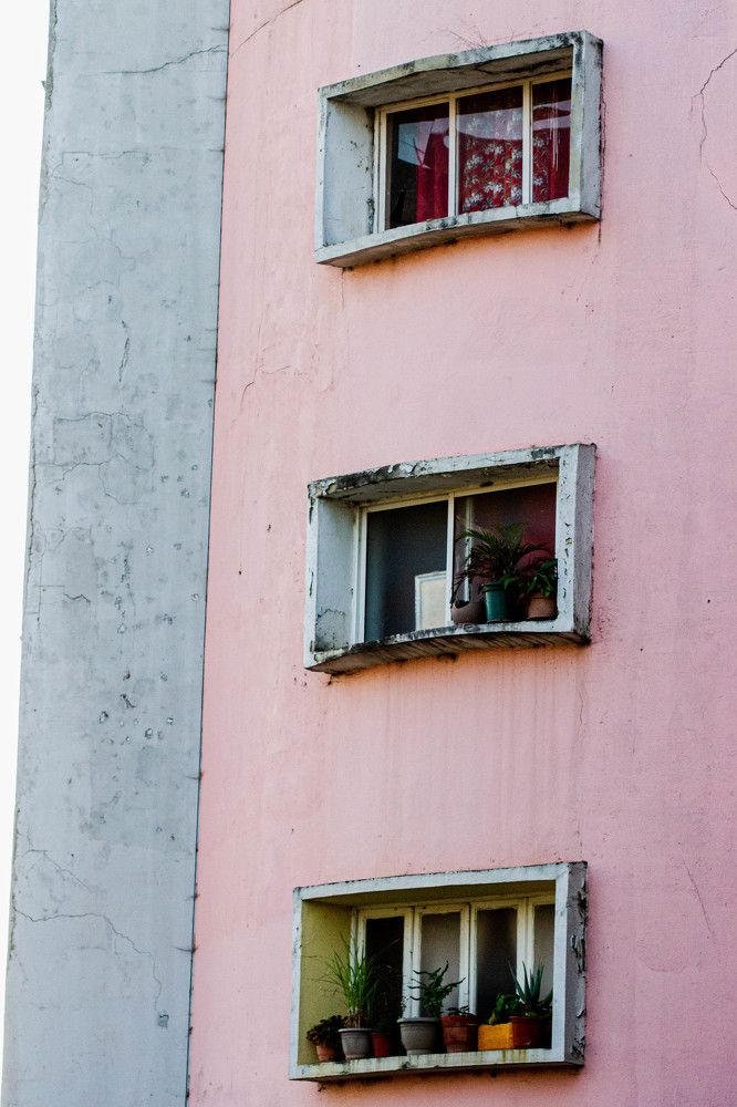 Photograph by Afro Brown