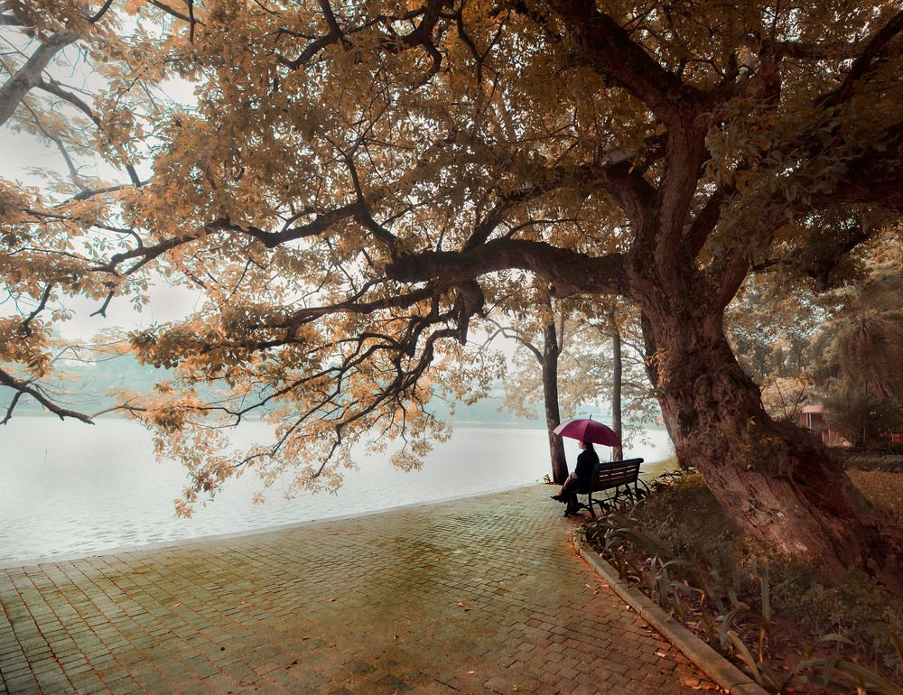 Фотография автора Dao Ngoc Canh