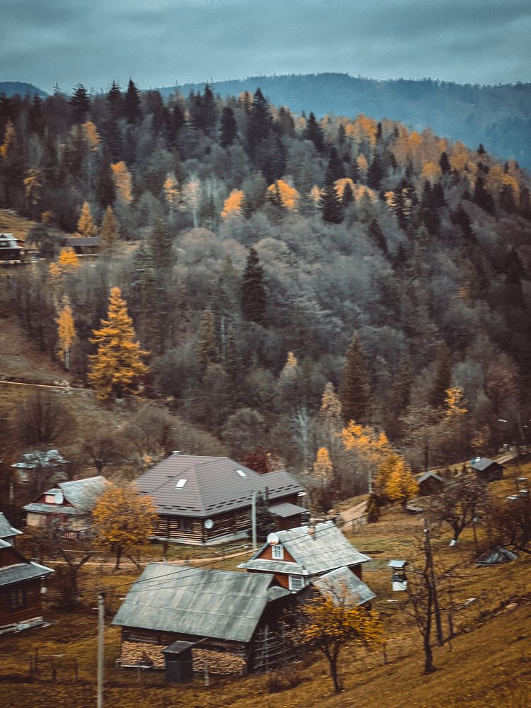 Photograph by Ольга Скиба