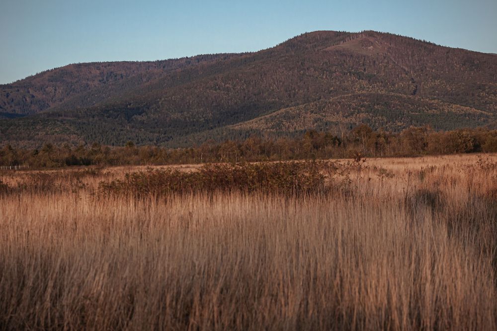 Photograph by Наталья Островцева