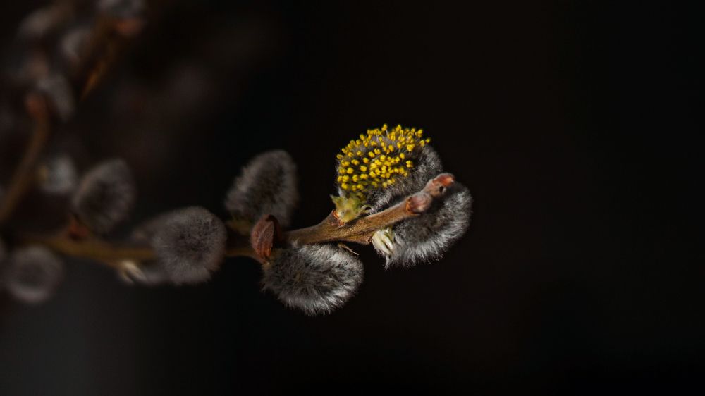 Photograph by Ольга Дой