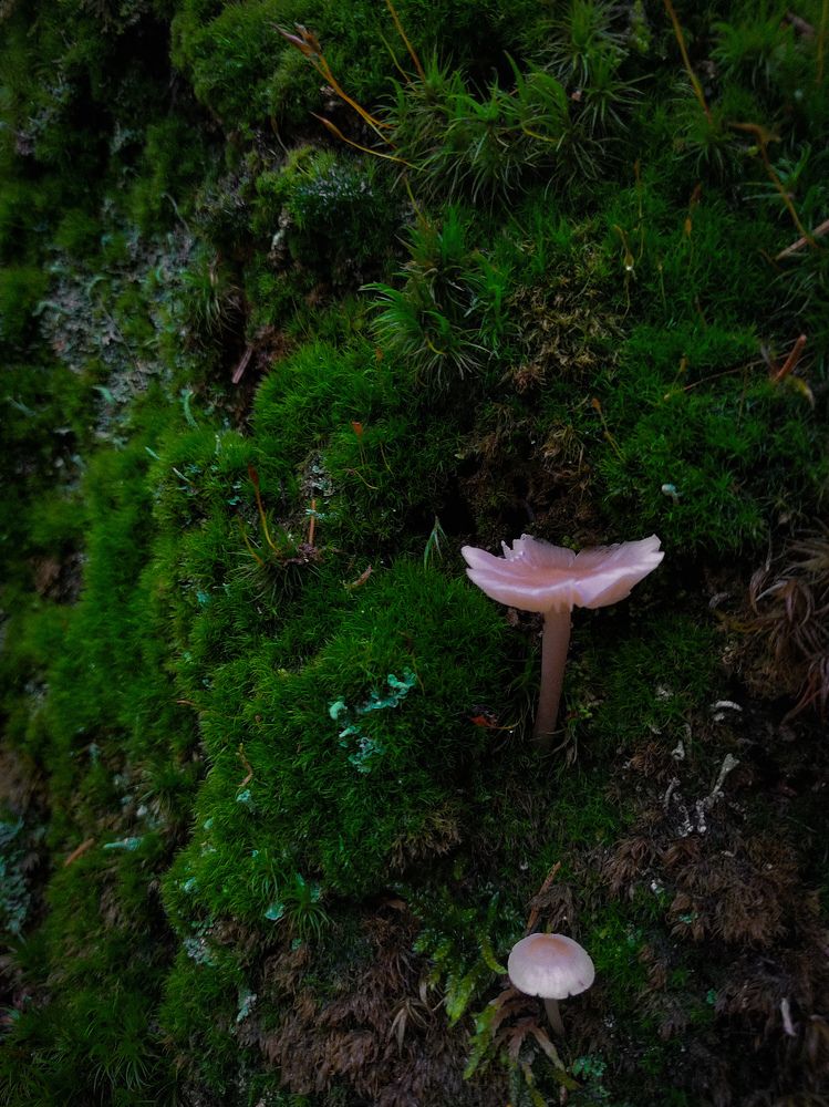 Фотография автора Екатерина Высоцкая