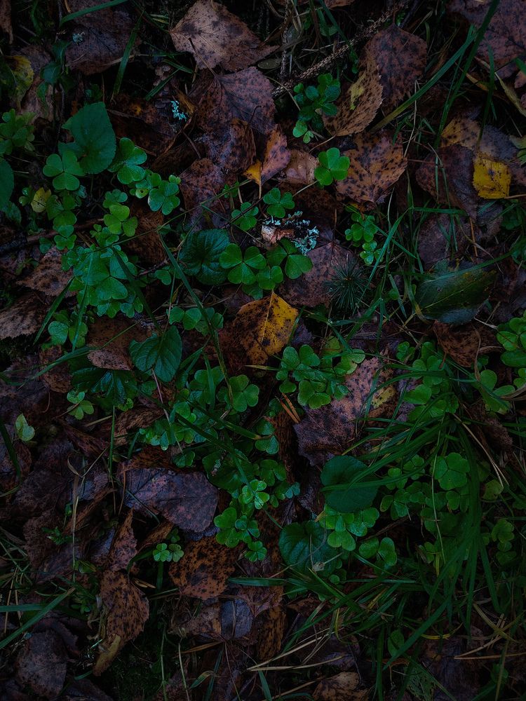 Фотография автора Екатерина Высоцкая