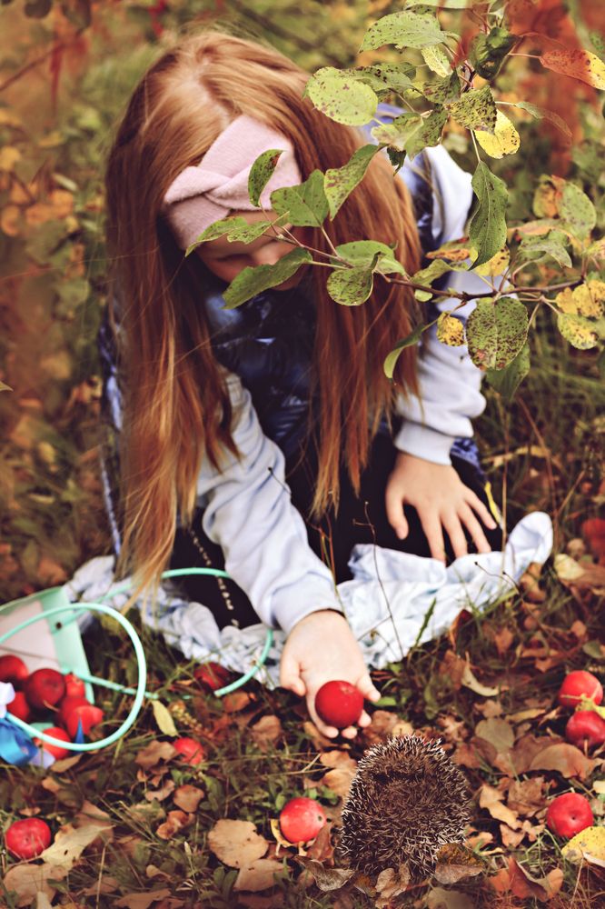 Photograph by Нина Пашина