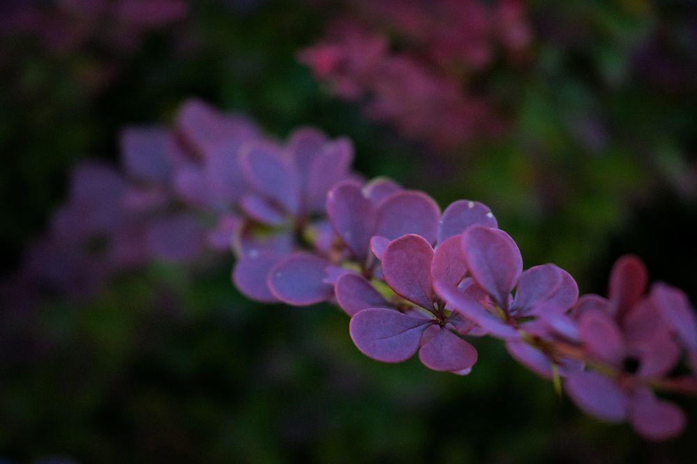 Фотография автора Екатерина Высоцкая