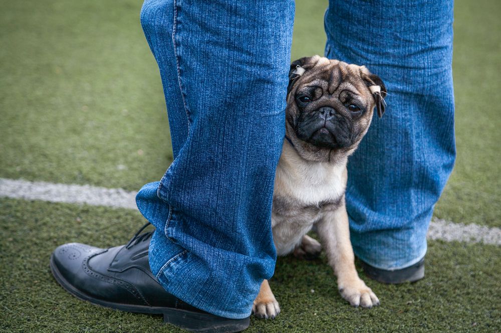Photograph by Владимир Кривенко