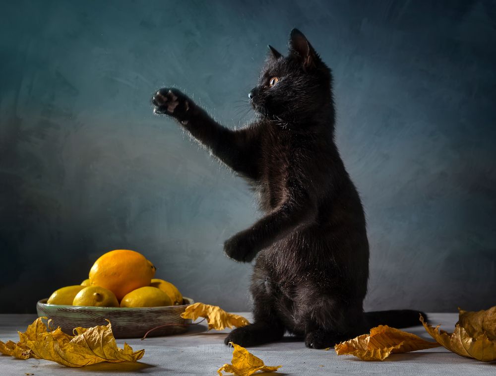 Photograph by Ирина Толокновская